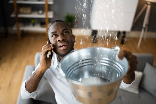 Best Flood restoration services  in Ferrum, VA
