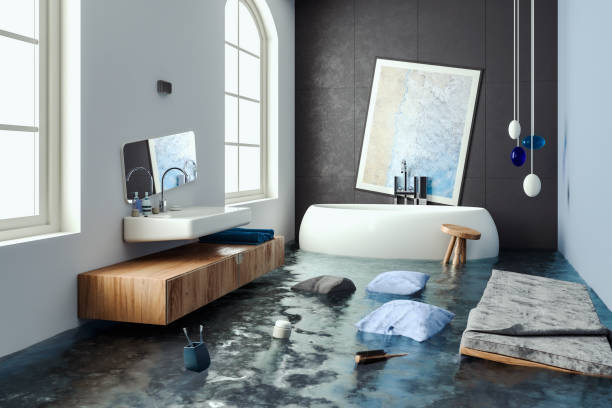 Trusted Ferrum, VA Water damage restoration Experts