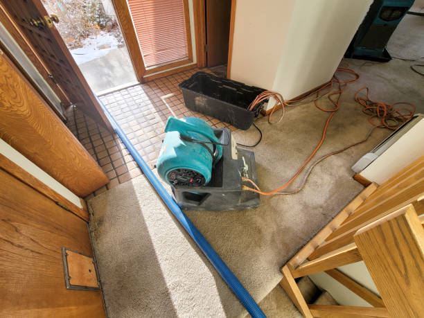 Best Professional water damage repair  in Ferrum, VA