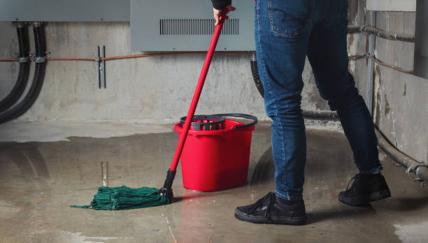 Best Water damage restoration near me  in Ferrum, VA