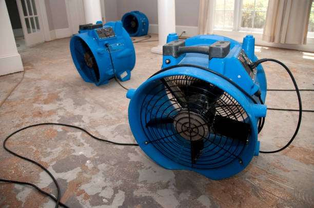Best Residential water damage restoration  in Ferrum, VA