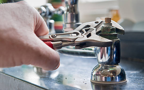 Best Carpet water damage restoration  in Ferrum, VA