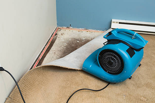 Best 24/7 water damage repair  in Ferrum, VA